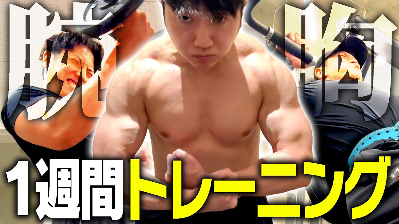 【筋トレ】腕・胸強化中！コロチキ西野最新の1週間の筋トレと食事【ダイエット】