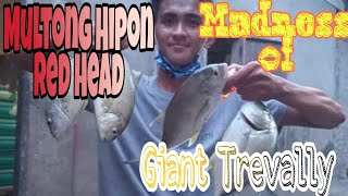 Giant Trevally Ultralight Fishing Intense Na Hilahan 