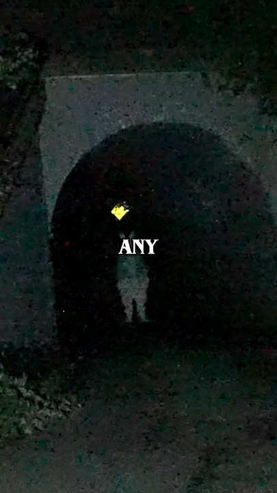 I Found Bunnyman
