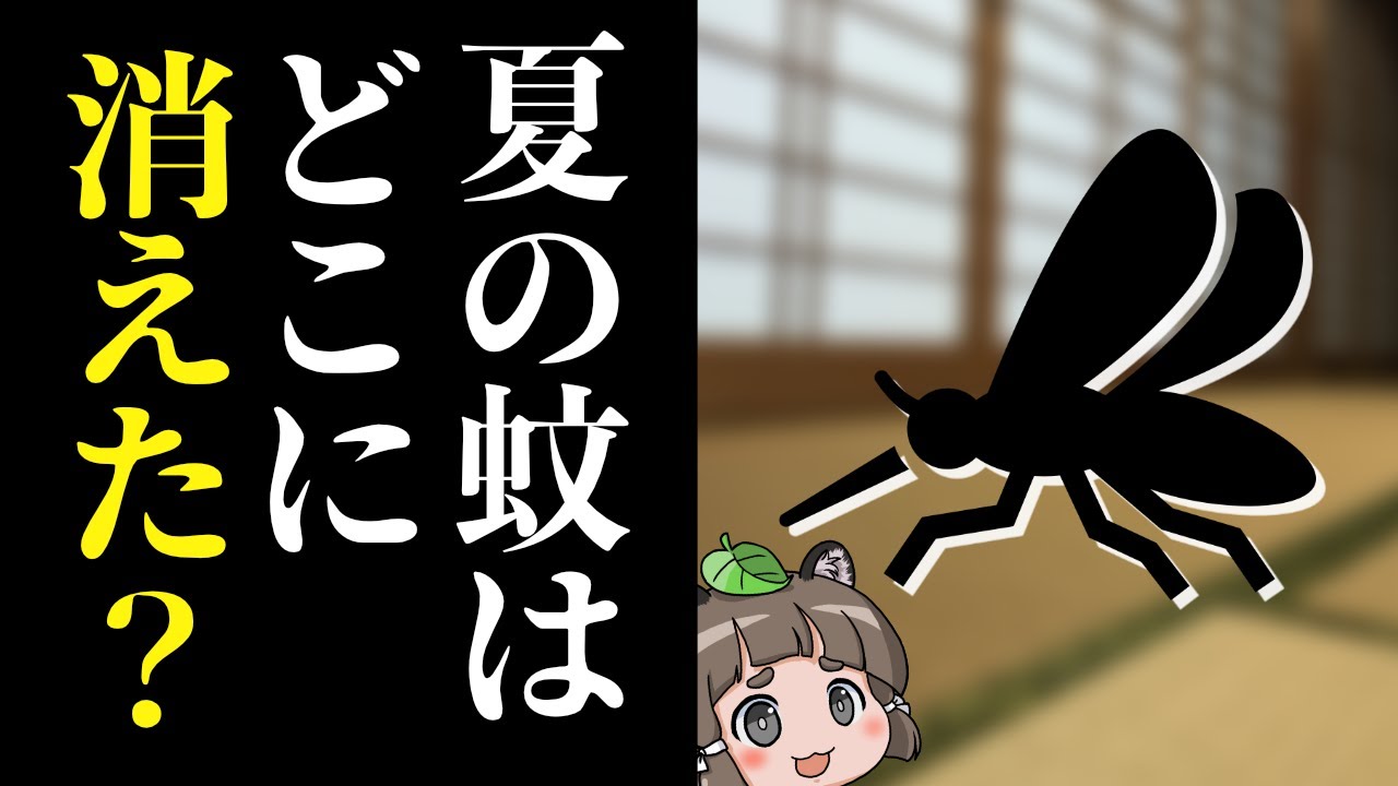 【あの生き物は今】なぜ蚊は日本の夏から姿を消したのか？