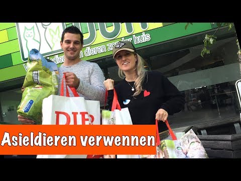 Video: Dierenliefhebber Met ALS Maakt Boek Om Geld In Te Zamelen Voor Dierenasielen