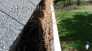 Berkeley Gutter Cleaner
