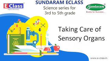 Eclass Kids Science Series : sensory organs care (3rd to 5th grade)