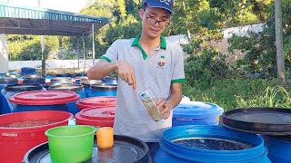 Thăm Quan Một Phần Khu Ngâm Ủ Của Fuwa