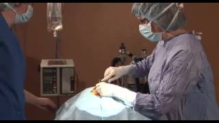 Dublin Animal Hospital Youtube