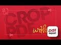 Crop Pages with PDF Export App