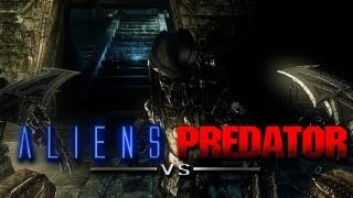 Aliens vs Predator 2010 Multiplayer