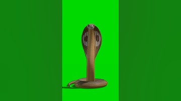 Snake green screen video 9 #copyright#snake#shorts  #foryou#capcut #🐍 #graphicdesigner#greenscreen