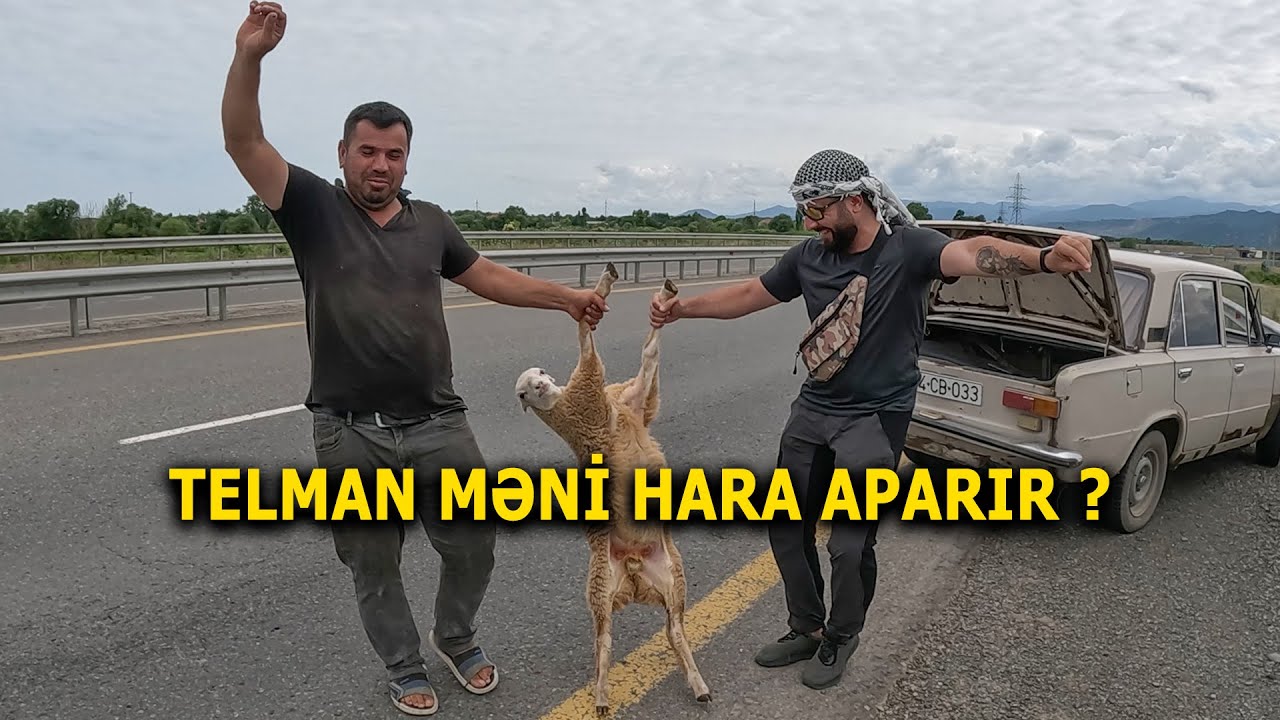 Masallı - Telmanın Maşınına Nə Oldu ?