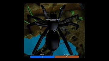 Roblox Ant Life - 1V2 BroodMother VS Teaming Spiders
