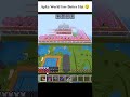 Normal Invite Tha… Lekin World Next Level Nikla 😱 | Minecraft Hindi