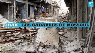 Irak Les Cadavres De Mossoul