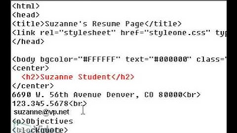 Video Professor: Cascading Style Sheet (CSS) Basics