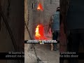 The Most Expensive Charcoal in the World #fact #information #shorts #facts #fascinatinginformation