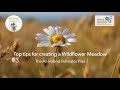 Top tips for creating a wildflower meadow