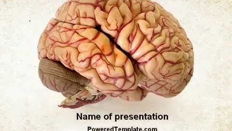 Human Brain As Anatomical Preparation PowerPoint Template by PoweredTemplate.com