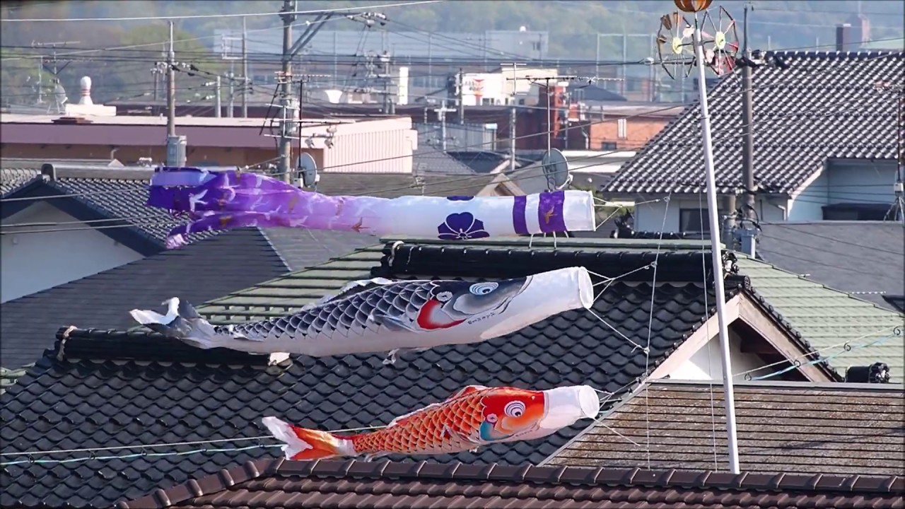 伝統太郎鯉　手染　廣重 伝統太郎鯉 手染 廣重 伝統太郎鯉 手染 廣重 鯉のぼり Yahoo