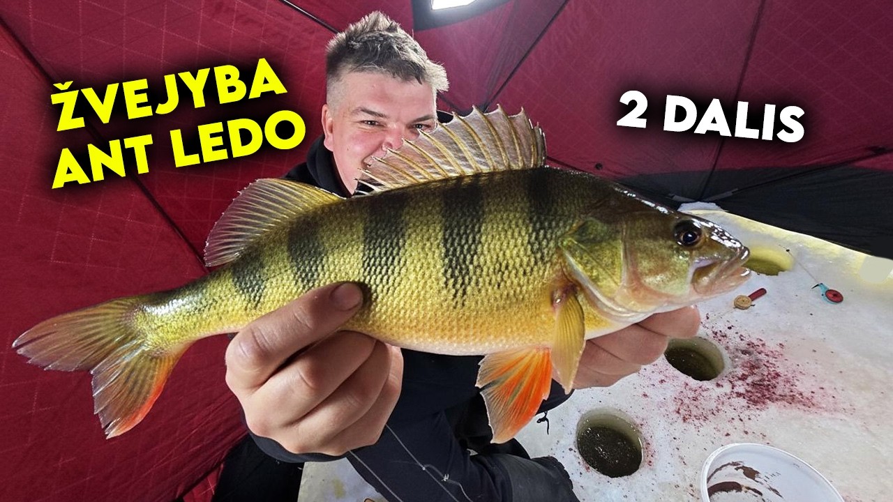 Pirkau VEVOR žvejybai – ar tai buvo klaida?