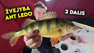 Poledinė žvejyba! Testuoju VEVOR grąžtą ir palapinę ant ledo