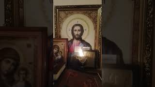 Святитель Савва, архиепископ Сербский