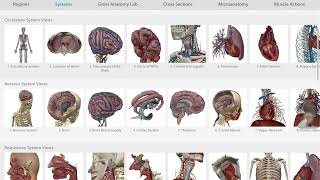 How to App Human Anatomy Atlas screenshot 2