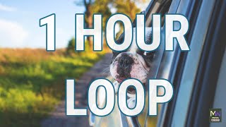 FEEL GOOD — MBB|FEEL GOOD★1 HOUR LOOP NO COPYRIGHT MUSIC★FREE ELECTRO HAPPY VLOG BACKGROUND BGM