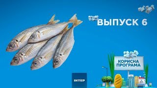 Как выбрать качественную мойву | ПОЛЕЗНАЯ ПРОГРАММА. Выпуск 6 — 22.01.2020 Как выбрать качественную мойву | ПОЛЕЗНАЯ ПРОГРАММА. Выпуск 6 — 22.01.2020