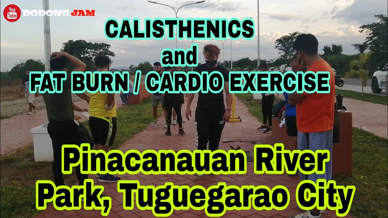 CALISTHENICS and FAT BURN,CARDIO EXERCISE YouTube
