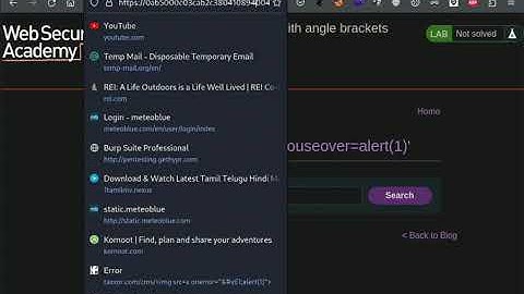13.7 Lab: Reflected XSS into attribute with angle brackets HTML-encoded | 2023