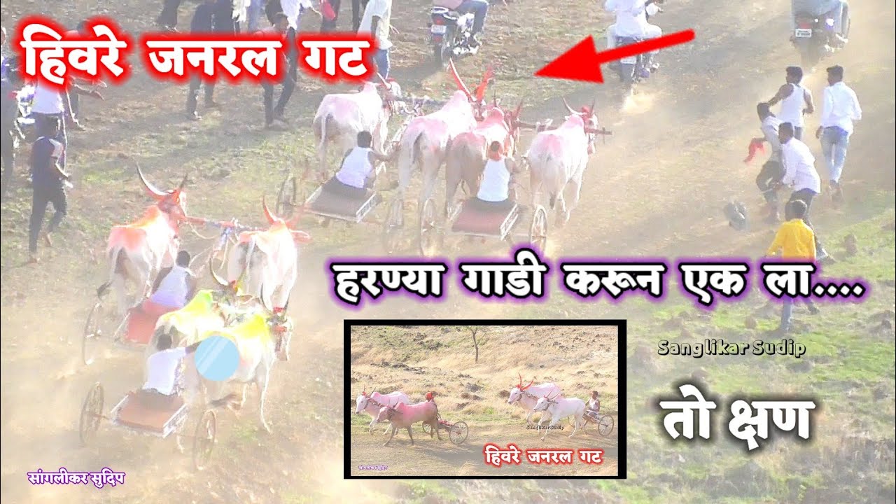 हिवरे जनरल गट | हरण्या व हेलिकॉप्टर १ , घेर्डी तांबड २ , बाळूदादा राजा ३ palashi hivare 51000 ₹