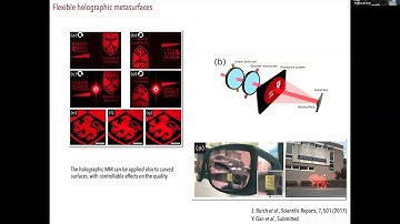 7th FNIP webinar | 2nd speaker| Prof. A. DiFalco: Photonic metasurfaces for biophotonics application