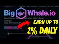 BigWhale / Earn Up To 2% Daily ROI / Earn Interest &amp; Borrow BNB