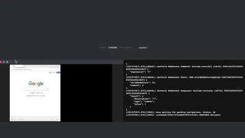 Selenoid Live Browser Screen Demo