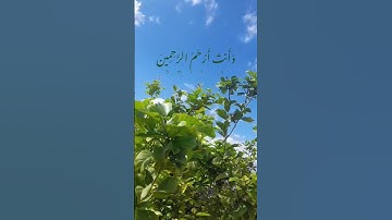 ( فَاسْتَجَبْنَا لَهُ فَكَشَفْنَا مَا بِهِ مِن ضُرٍّ ۖ) [سورة الأنبياء][القارئ:هيثم الدخين ]🤍🌥
