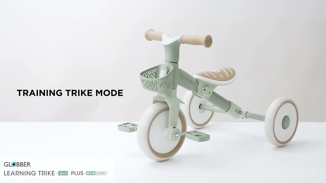 LEARNING TRIKE 2in1 PLUS ECOLOGIC 737 縮圖