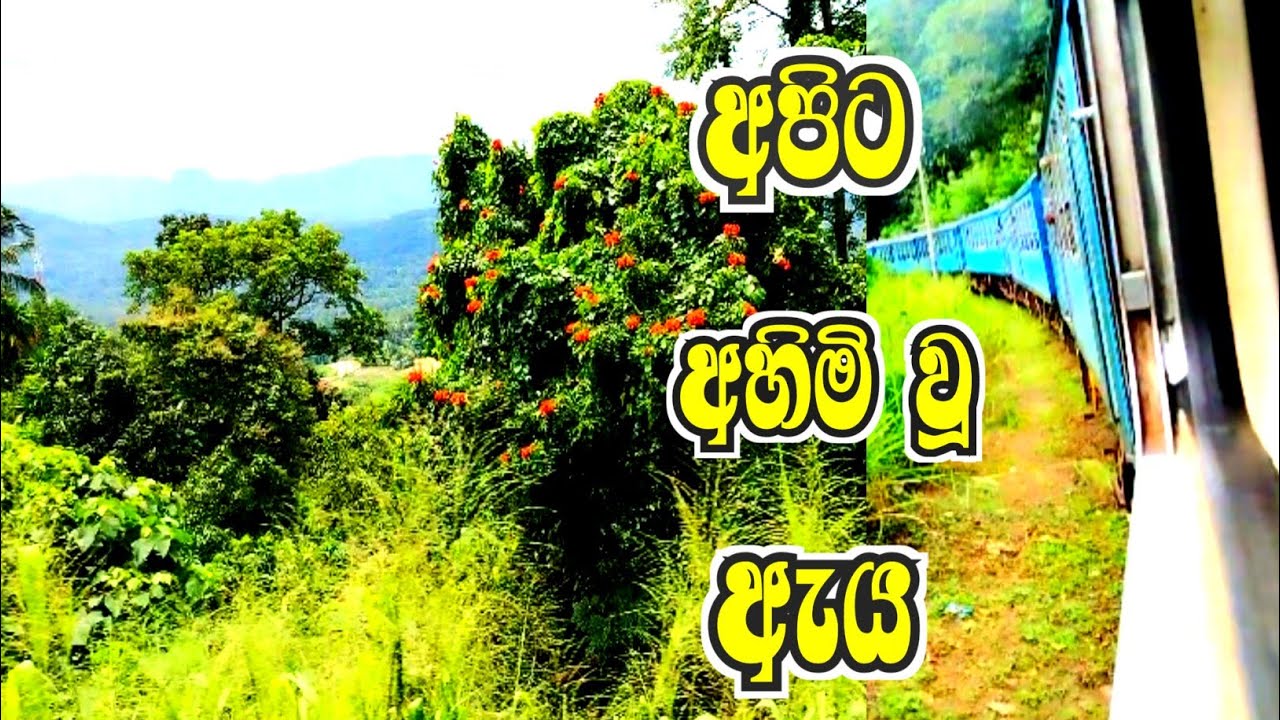 දිට්වා එන්න කලින් ගියා🚂🌄 