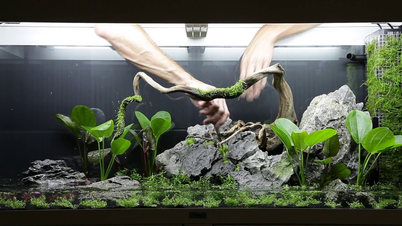 all about planter tropica