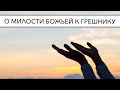 О милости Божьей к грешнику | Александр Д. Иванов, МСЦ-ЕХБ