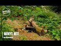 erotomania | MINYO Mix | Putter Around Club