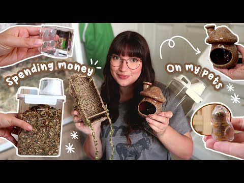 Buying Things For My Pets Because It's Cheaper Than Therapy