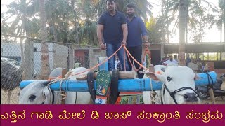 D Boss Shankranthi Special Thoogudeepa Farm House Darshan D Boss