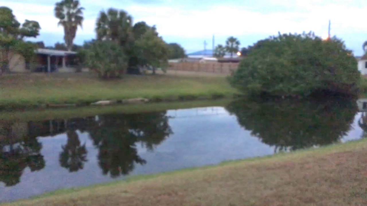 Port Charlotte Fl Freshwater Canal Home for Sale YouTube