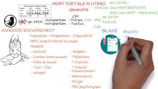 MORT FŒTALE IN UTERO (Première Partie : Généralité) - YouTube