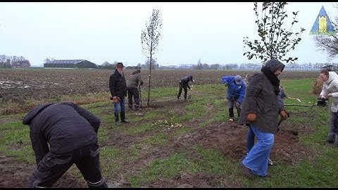 Biodiversiteit in polder Hattem krijgt impuls door bijzonder  burgerinitiatief