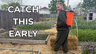 Your Best Defense Against Pest and Disease This Year