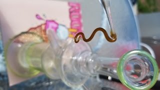 Dab Art: Snake (Rosin) - (Actually Smoked, Not Wasted like Viceland Commercials)