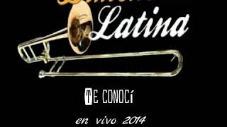 Video thumbnail of "Te Conocí "La Dimensión Latina" en vivo."