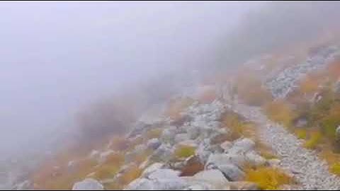 سورة الاحزاب:الشيخ توفيق بن شعبان