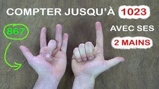 Compter Jusqu A 1023 Avec Ses 2 Mains Youtube