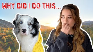 My BIGGEST Regret As A HIGH ENERGY DOG Owner
